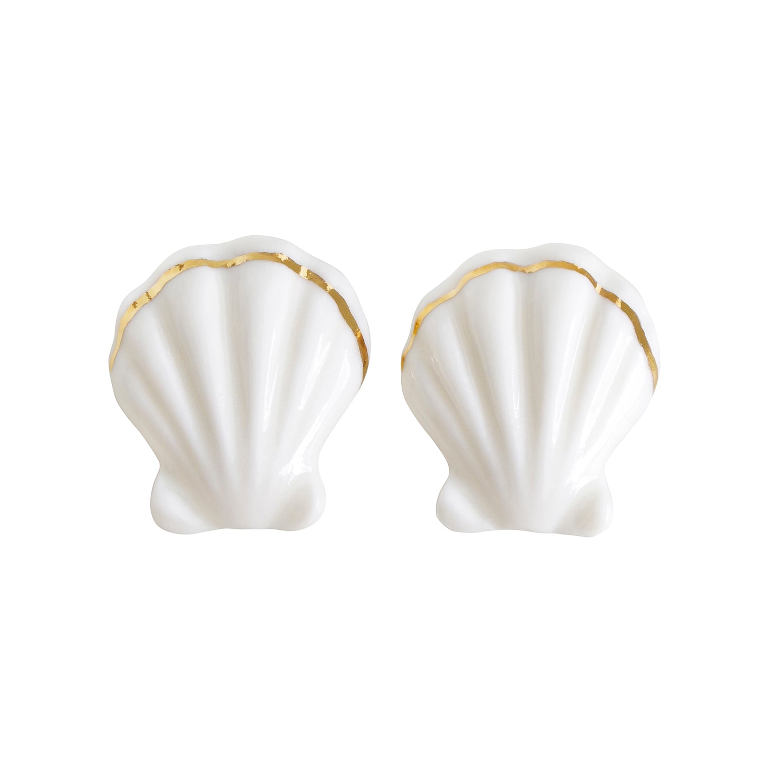 Clam shell store earrings